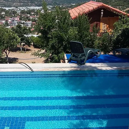 Begonvilla *